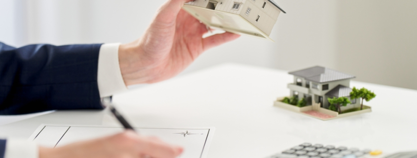 Faceless Land Registration System